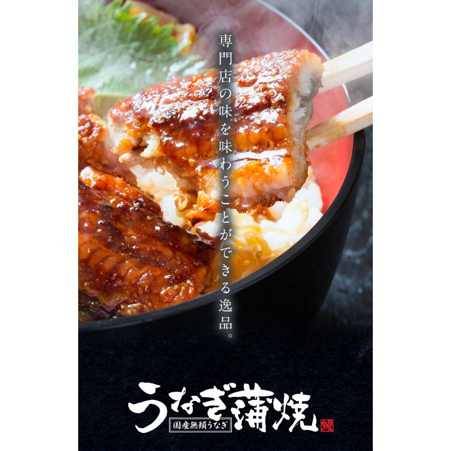 神奈川県産 天然うなぎ 400g以上 3本 計1.2kg 【公式通販】