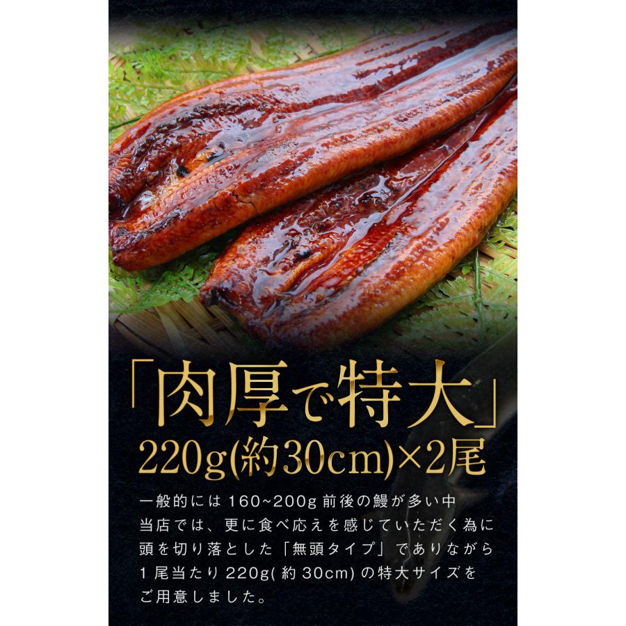 【国産・特大サイズ】無頭うなぎ蒲焼き 2尾 (440g・約30cm) 国産 南九州産 鰻 蒲焼き 八本義醤油使用 うなぎのタレ・山椒・食べ方しおり付き 箱付 送料無料｜tobiuo｜07