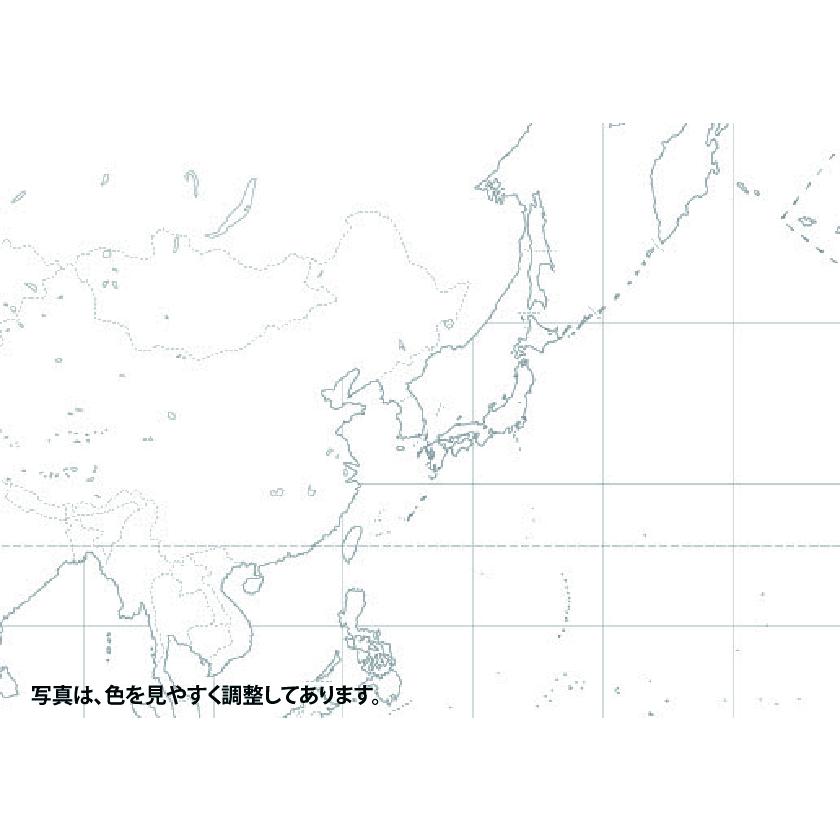 【大判出力】世界白地図 B0判 営業戦略 学習 大判出力ポスター 壁貼り 会議室 オフィス インテリアの画像