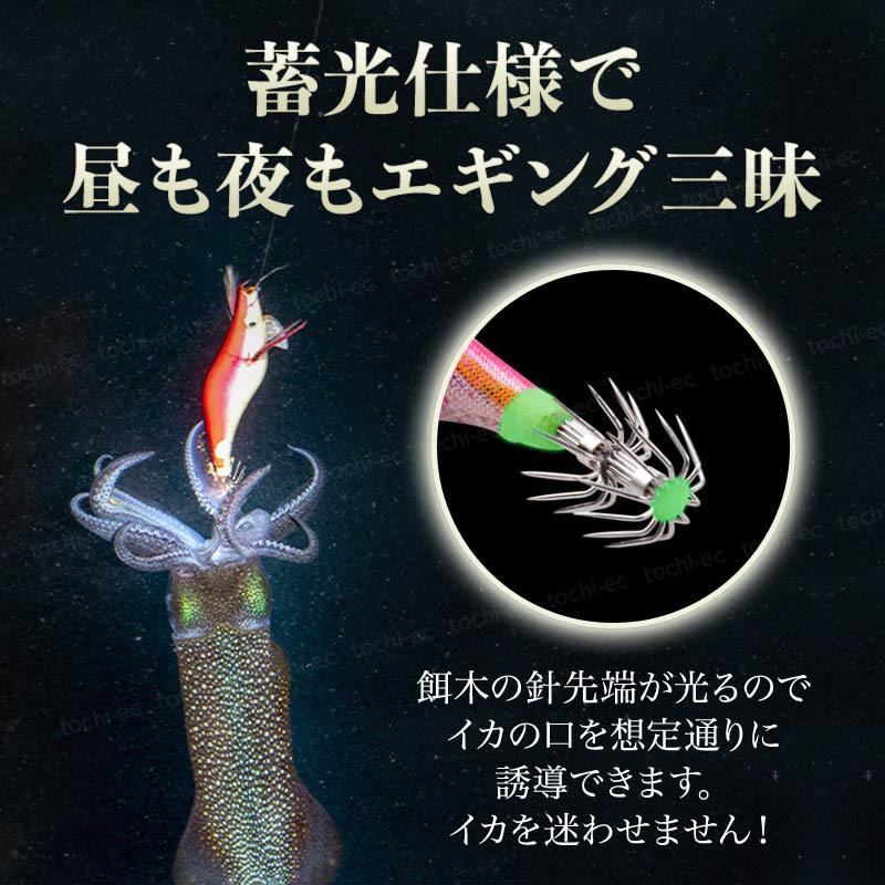 エギング エギ 餌木 イカ釣り イカ ルアー 仕掛け 夜光 10点セット Kkc 286 Tochi Ec 通販 Yahoo ショッピング