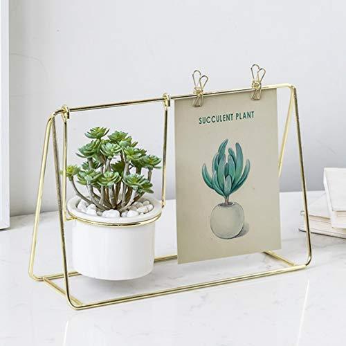 Tinksky おしゃれ 植木鉢 プランターデザイン小物 フラワーポット Diy 飾り おしゃれ 多肉植物 寄せ植え 鉢 収納ス Edv 栃木流通センター 通販 Yahoo ショッピング