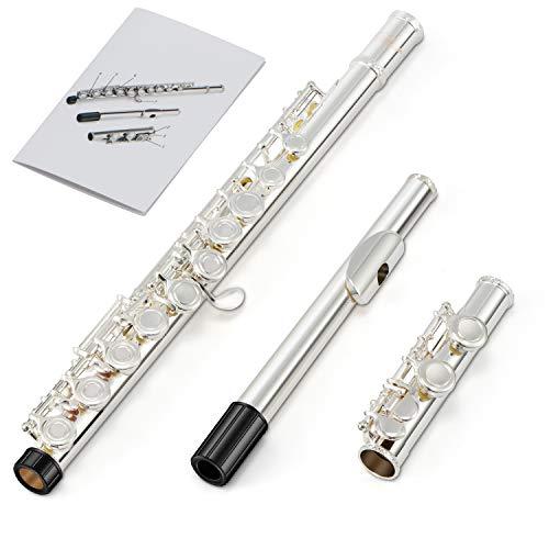 公式 Eastar フルート 銀メッキ 16穴 カバード リングキー Eメカ付き オフセット フルートスタンド 専門ケース 初心者 Ifd 栃木流通センター 通販 Yahoo ショッピング 大流行中 Blog Lonolife Com