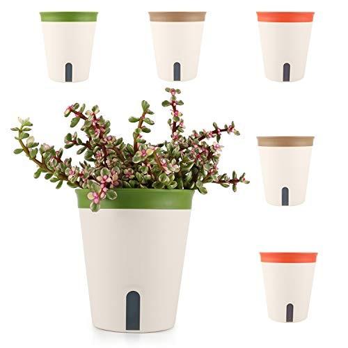 T4u 13cm プラスチック 底面給水鉢 自動給水 植木鉢 プランター プラ鉢 丸型 給水ヒモ付き 花鉢 観葉植物適用 ６ Jfl 栃木流通センター 通販 Yahoo ショッピング