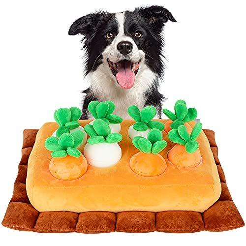値引きする Greesuit 犬 おもちゃ ペット用品 知育玩具 犬 にんじん ノーズワークマット 犬用品 おやつ隠し にんじん4個 だい 在庫あり 即納 Turningheadskennel Com