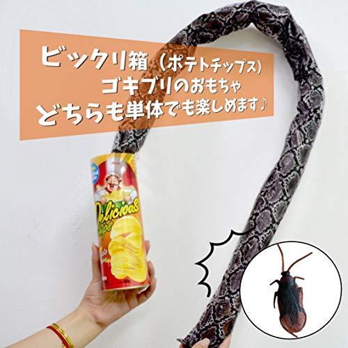 Utst おもしろグッズ びっくり箱 いたずらグッズ ゴキブリおもちゃリアル付き ２個セット Zuv 栃木流通センター 通販 Yahoo ショッピング