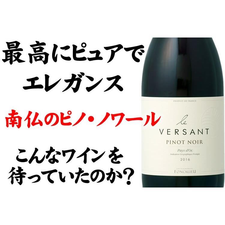 ル ヴェルサン ピノ ノワール ペイ ドック [2023] 赤ワイン ミディアム