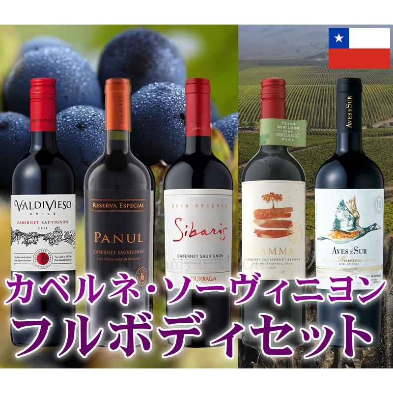 カベルネ チリワイン フルボディ5本セット 店長セレクトのチリ産 カベルネ チリワイン フルボディ5本セット 店長セレクトのチリ産