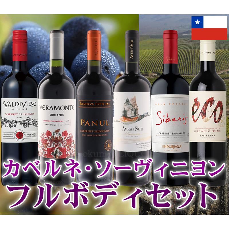第4弾 カベルネ チリワイン フルボディ6本セット 店長セレクト 南米