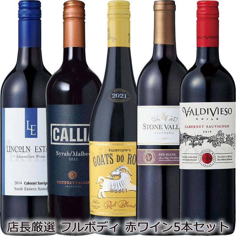 フルボディ赤ワイン5本セット_チリ、アルゼンチン、南アフリカ フルボディ赤ワイン5本セット_チリ、アルゼンチン、南アフリカ