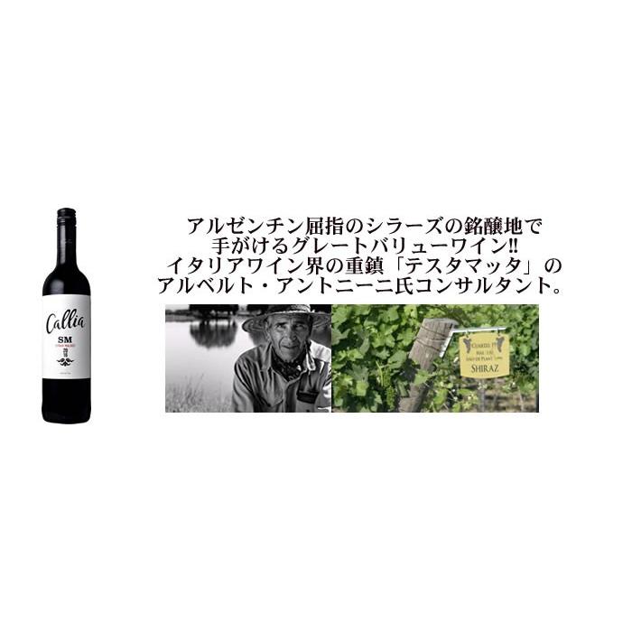 フルボディ赤ワイン5本セット_チリ、アルゼンチン、南アフリカ フルボディ赤ワイン5本セット_チリ、アルゼンチン、南アフリカ