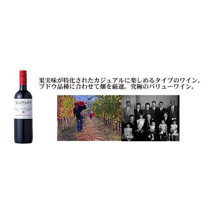 フルボディ赤ワイン5本セット_チリ、アルゼンチン、南アフリカ フルボディ赤ワイン5本セット_チリ、アルゼンチン、南アフリカ