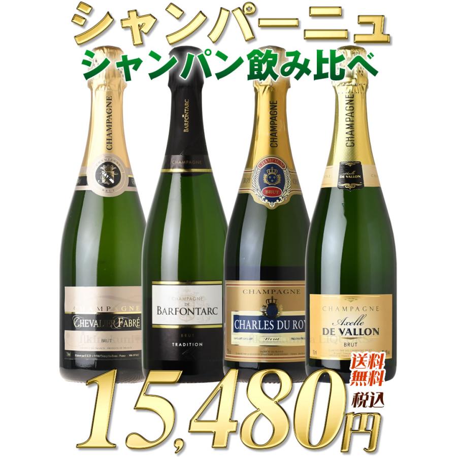 シャンパン　シャンパーニュ　4本セット 第11弾 大興奮のシャンパーニュ4本セット (本物シャンパンのみ