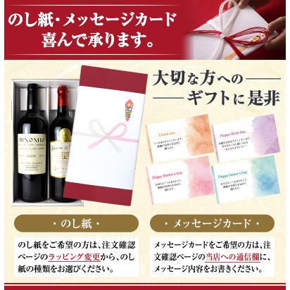 第4弾 化粧箱入り お手頃シャンパーニュ2本セット(シャンパン 第4弾 化粧箱入り お手頃シャンパーニュ2本セット(シャンパン