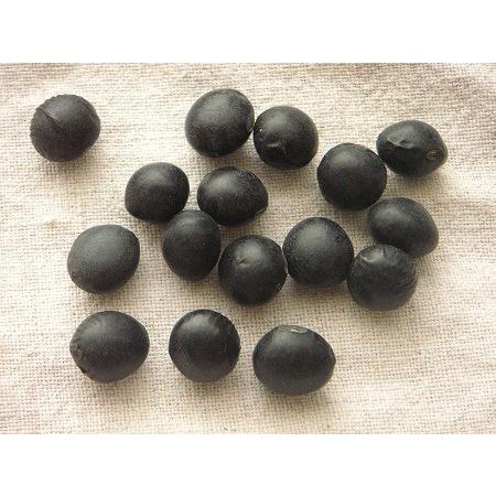 北海道 松田商店 特選 大粒光黒大豆 300g×5 令和7年産 : とちぎ商店