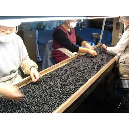 北海道 松田商店 特選 大粒光黒大豆 300g×5 令和7年産 : とちぎ商店
