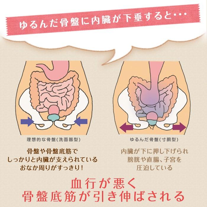 P12倍 トコちゃんベルト セット Mサイズ トコちゃんの腹巻 Lサイズ 青葉 腰痛 骨盤ベルト 腹巻 腹巻き アンダー腹巻 R514m 腰痛解決 トコちゃんベルト専門店 通販 Yahoo ショッピング