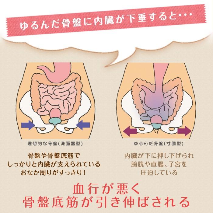 トコちゃんベルト 2 セット M サイズ ふわっと 腹巻 薄手 オーガニック セミロング 2枚組  青葉 腰痛 骨盤ベルト｜tocochan｜13