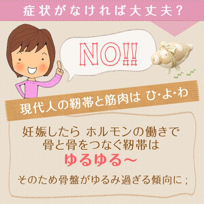 青葉 トコちゃんベルト 2 セット M サイズ ふわっと 腹巻 薄手 オーガニック セミロング 2枚組 腰痛 骨盤の画像
