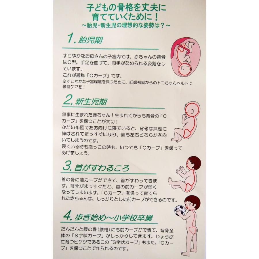 授乳クッション 単品 青葉 正規品 洗える へたらない 厚い 日本製 無地 授乳枕 カバー はずせる べビハグ トコちゃんベルト 出産祝い Shisei3 Enji 腰痛解決 トコちゃんベルト専門店 通販 Yahoo ショッピング