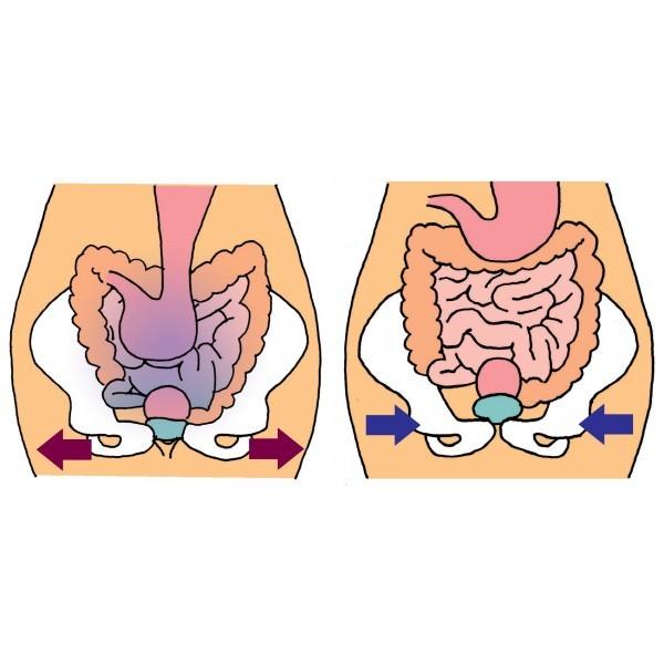 トコちゃんベルト 2 S サイズ 青葉 正規品 骨盤ベルト 妊娠 産前 産後 腰痛 切迫 マタニティ 腰痛ベルト 骨盤矯正 |  | 15
