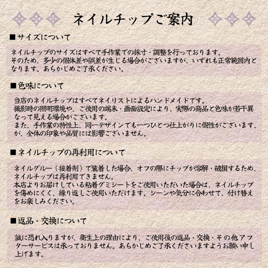 ネイルチップ 6種選択可 10枚入り（S・M 2サイズ）専用ケース・ツール