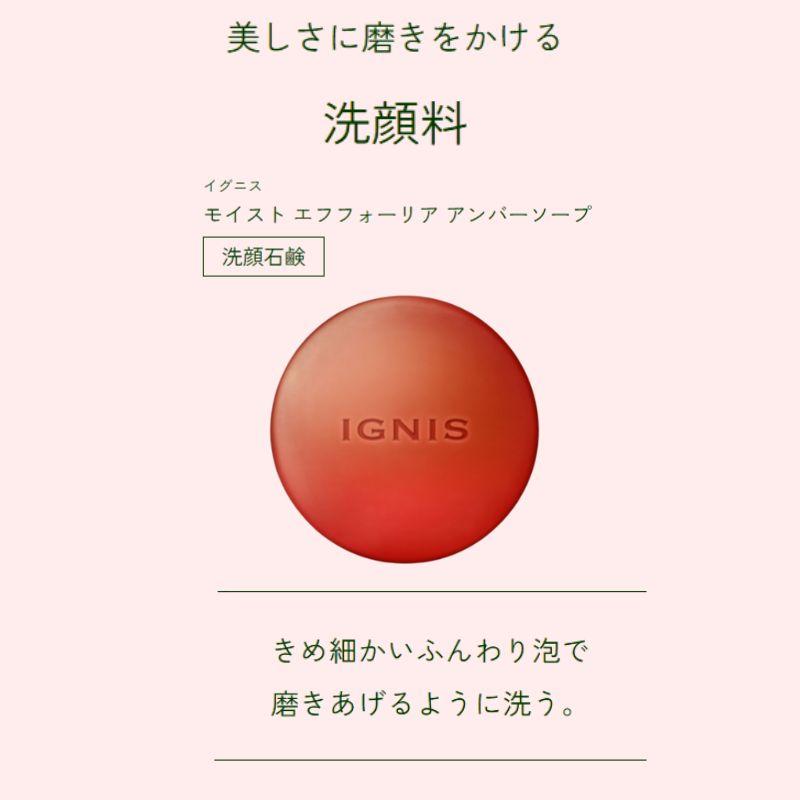 IGNIS iO ネコポス速達！イグニス モイスト エフフォーリア アンバー 