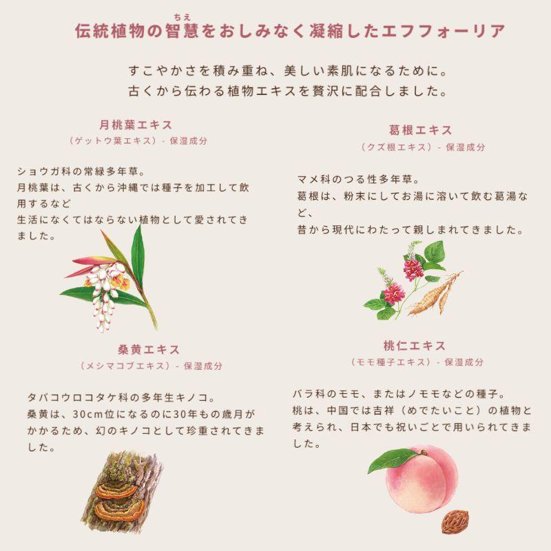 IGNIS iO ネコポス速達！イグニス モイスチュアライジング エフ