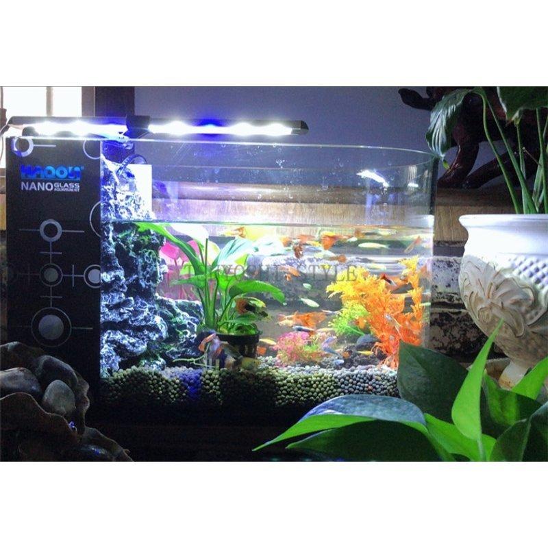 一流の品質 レイアウト ミニ家庭用 水族箱 省電 ペット用品 ライト 水槽 Ledライト 熱帯魚水槽セット 金魚の水槽セット 魚飼育 水槽 水族館 ミニ家庭用 レイアウト 熱 金魚の水槽セット 魚飼育 水槽 水族館 水槽 Albinofoundation Org