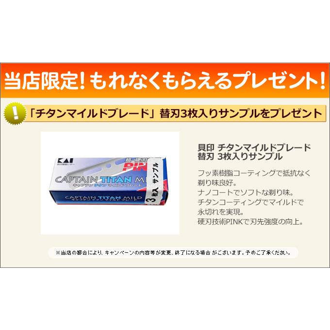 貝印 【10個セット】カイ キャプテンチタンマイルドブレード 20枚×10個
