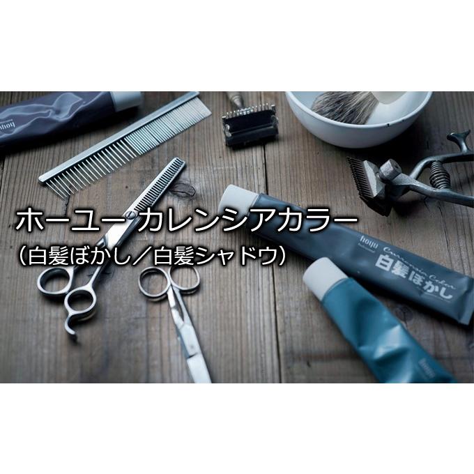 hoyu（ホーユー） 【セット】ホーユー カレンシアカラー80g 2本+