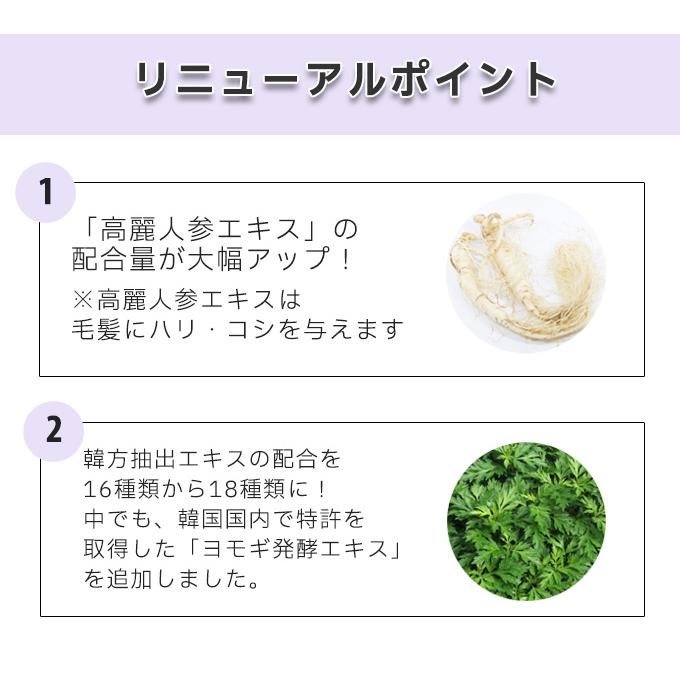 デンギモリ 韓方 珍気トリートメントプレミアム 500ml 正規輸入