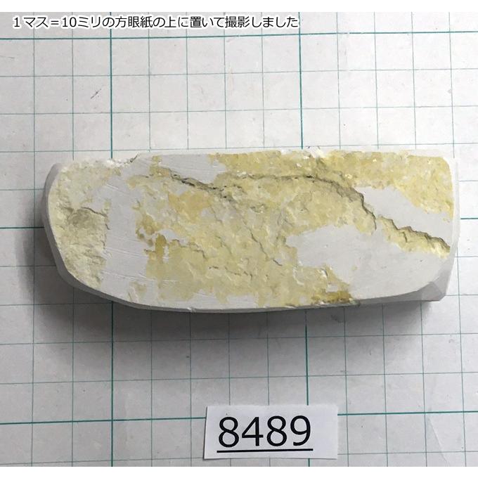 限定　日本剃刀　へんこつ金文字2丁掛け　藤助ゴム柄　純三河白名倉　コマ　48g 2025年最新】三河白名倉の人気アイテム - メルカリ