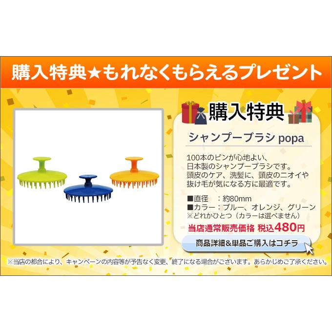 2本セット】ホルコン メディカルシャンプー 800ml 医薬部外品 フケ