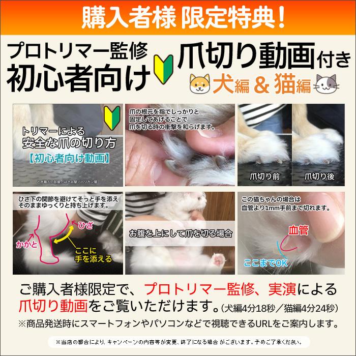 ネコのシャンプー、爪切り〜やって頂ける方 獣医師監修】動画で分かる猫のシャンプー！おすすめ商品も紹介 | Petio