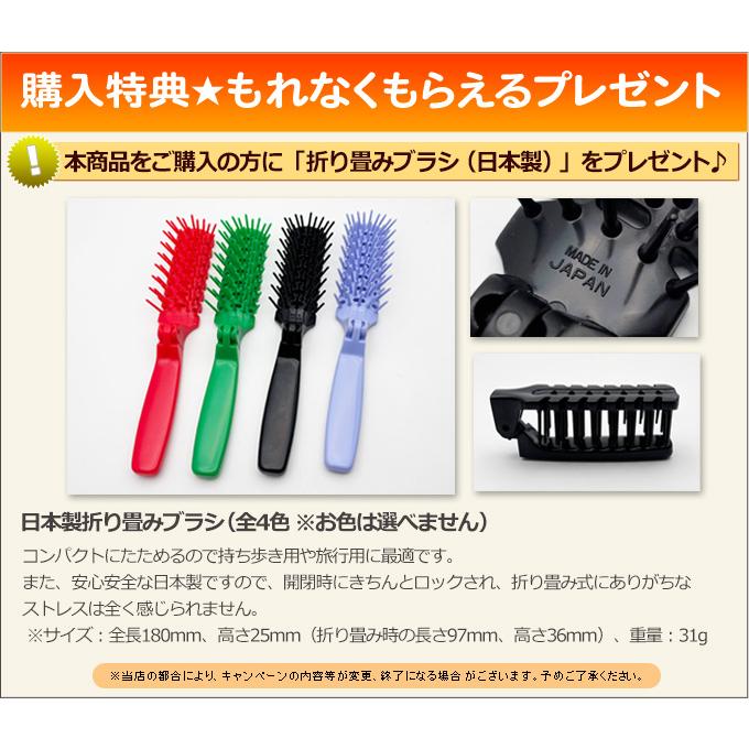 替刃 ウィルキンソン W2 ダブルツー 120枚入り（5個入り×24個）2