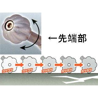 【数量限定】土牛産業 カボチャ玉打診棒 2000 土牛産業 1738 カボチャ玉打診棒2000: ECカレント｜JAL Mall
