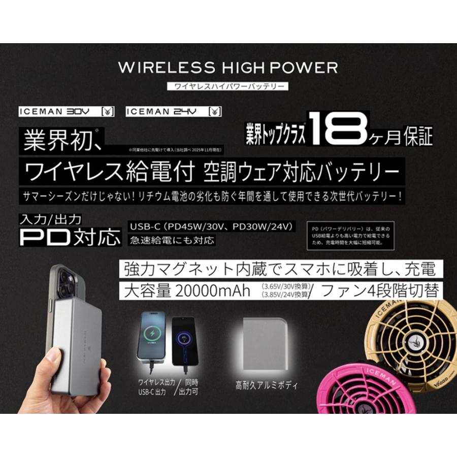 YAMASHIN（ヤマシン） アイスマン ワイヤレスハイパワーバッテリー(30V