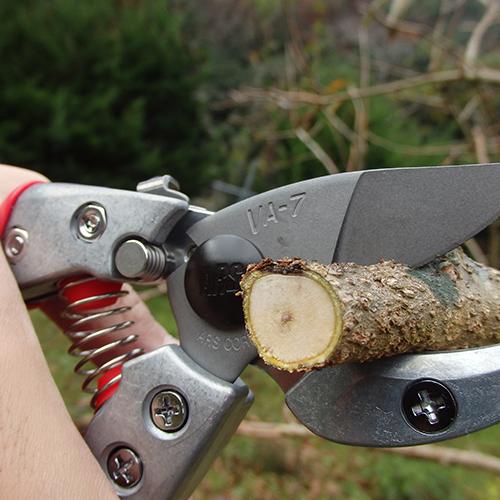 銀杏☆専用 アルス アンビル剪定鋏 180mm VA-7Z : プロツールショップとぎやヤフー