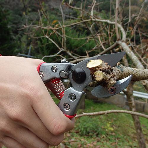 アルス アンビル剪定鋏 180mm VA-7Z : プロツールショップとぎやヤフー