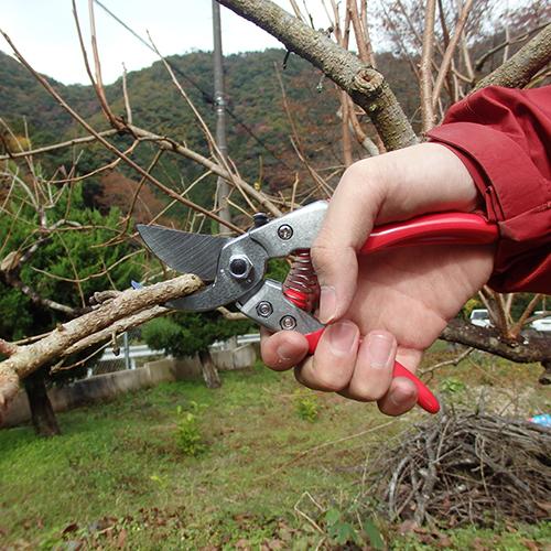アルス 剪定鋏 180mm VS7 VS-7Z : プロツールショップとぎやヤフー店