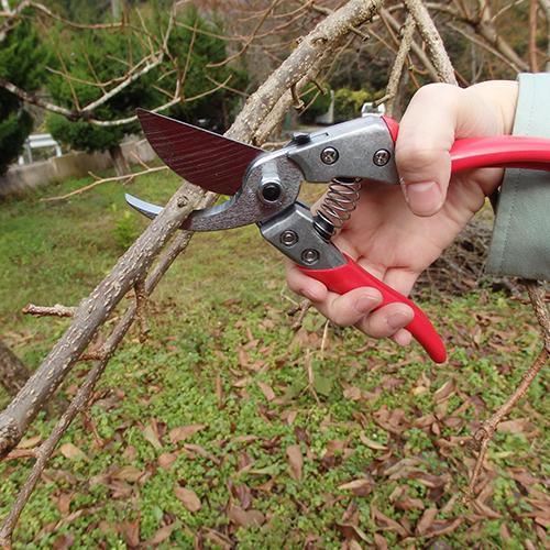 アルス 剪定鋏 200mm VS8 VS-8Z : プロツールショップとぎやヤフー店