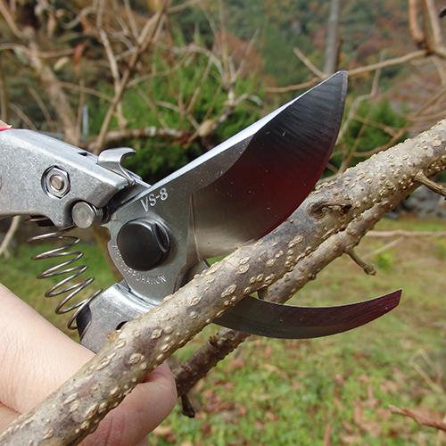 アルス 剪定鋏 200mm VS8 VS-8Z : プロツールショップとぎやヤフー店