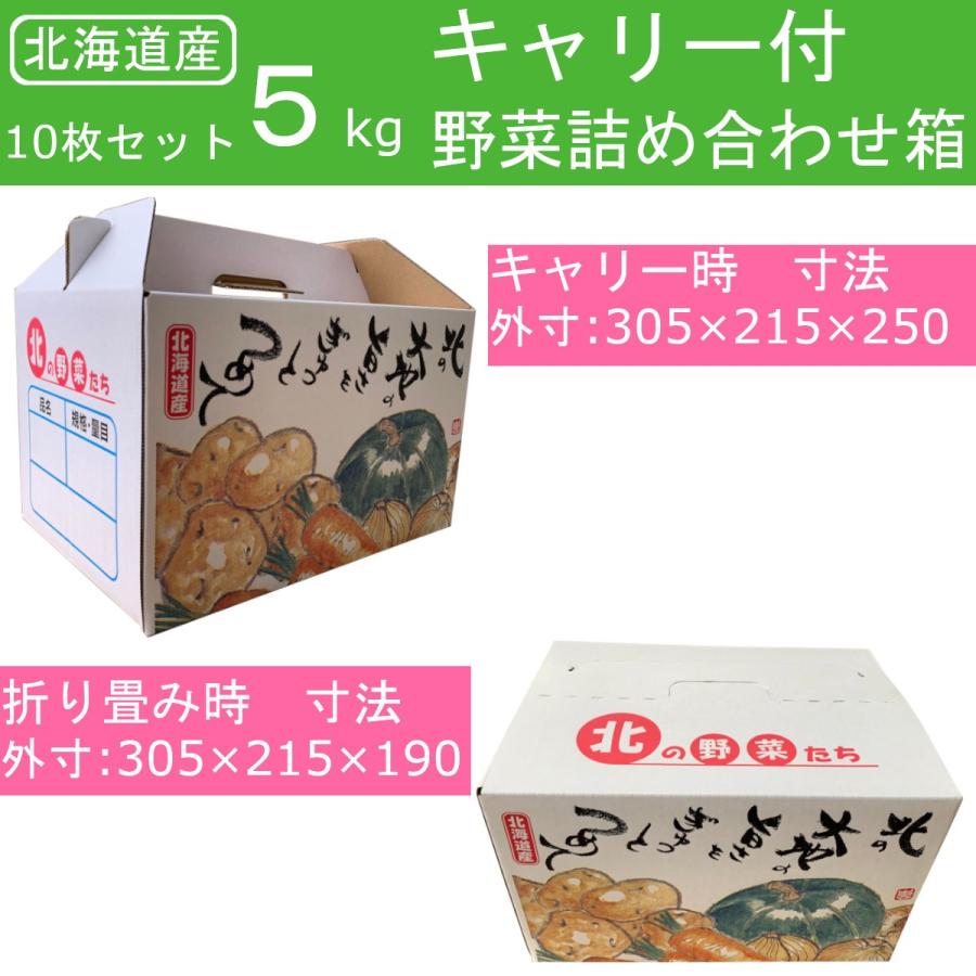 北海道産 野菜 ダンボール ワンタッチ 段ボール 北の野菜たち ５ｋｇ 10枚セット ダンボール箱 Ky5kg T Style ヤフー店 通販 Yahoo ショッピング