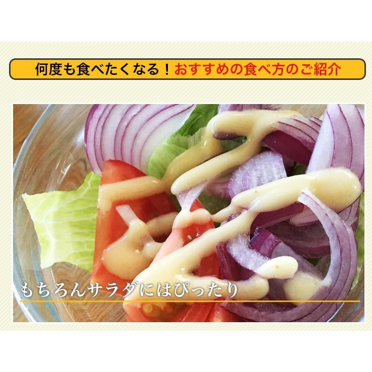 フレンチ ソースドレッシング 200g 万能ドレッシング 北海道 サラダ 野菜 肉 魚 フランス 無添加  お歳暮 ギフト プレゼント ポイント消化 　 |  | 04