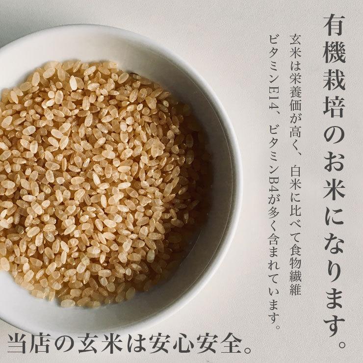 玄米 送料無料  令和5年産 有機JAS とっとき 純子 (有機栽培 ゆめぴりか 100％) 10kg 北海道米 安心 安全 有機米 お米 当麻  米｜tohma-greenlife｜07