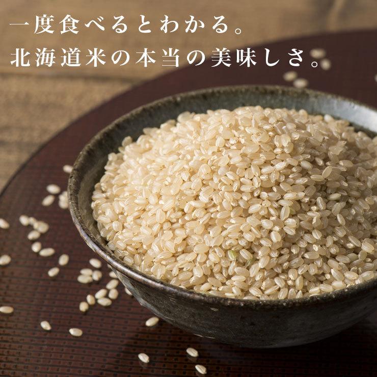 期間限定ポイント 10倍! 玄米 送料無料 令和7年産 北海道米 安心 安全