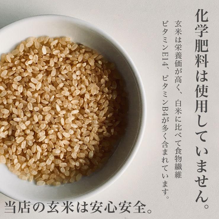 期間限定ポイント 10倍! 玄米 送料無料 令和7年産 北海道米 安心 安全