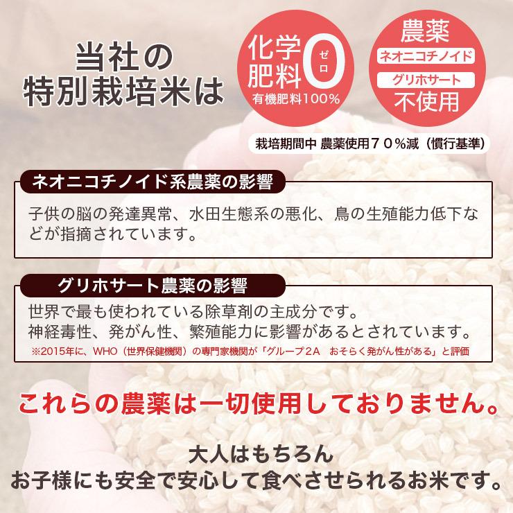 期間限定ポイント 10倍! 送料無料 令和7年産 北海道米 安心 安全 特別