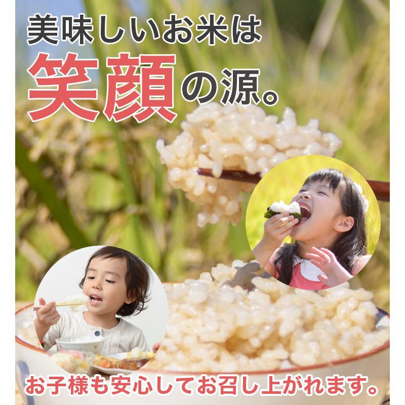 【R7年産】【数量限定】ゆめぴりか 10kg玄米 ゆめぴりか 期間限定ポイント 10倍! 玄米 送料無料 令和7年産 北海道米