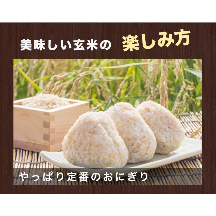 ゆめぴりか 期間限定ポイント 10倍! 玄米 送料無料 令和7年産 北海道米